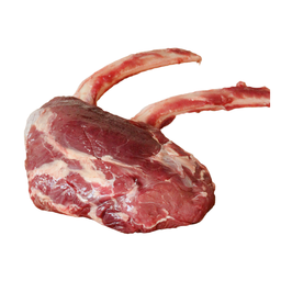 First Light Elk - 2 Rib Rack